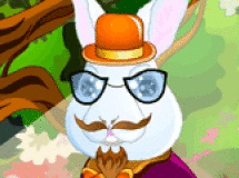 Podobne gry do Rabbit In Wonderland - Królik W Krainie Fantazji
