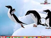 Podobne gry do Happy Penguin Hn - Szczęśliwe Pingwiny