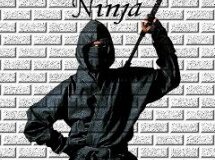 Mystic Ninja - Mistyczni Ninja