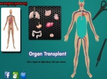 Podobne gry do Organ Transplant - Przeszczep Organów