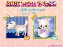 Podobne gry do Cute Pets Today - Zwierzak Na Dziś