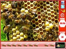 Podobne gry do Honeycomb - Hidden Bees - Ul - Ukryte Pszczoły