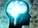 Digital Genius - Sprawdź Swój Mózg