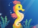 Magic Sea Horse - Magiczny Wodny Konik