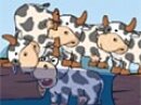 Gra online Freaky Cows - Szalone Krowy z kategorii Zręcznościow