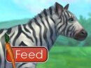 Feed Zebra - Opieka Nad Zebrą