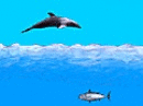 Podobne gry do Dolphin Swimming - Delfin W Wodzie